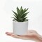 Set of 3 Artificial Succulents in White Pots – Faux Small Potted Plants for Home Decor, Office Desk, Bathroom, Shelf & Modern Tabletop Decoration